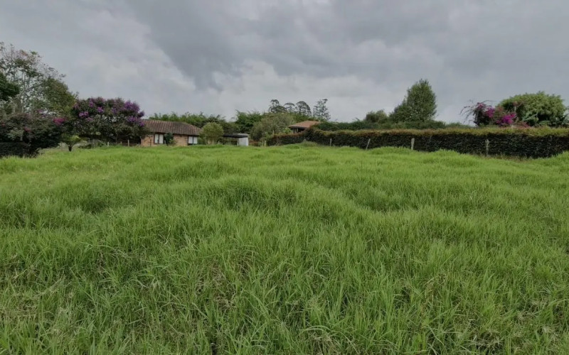 Lote Residencial en Rionegro en Corredor San Antonio - La Ceja (Rionegro)