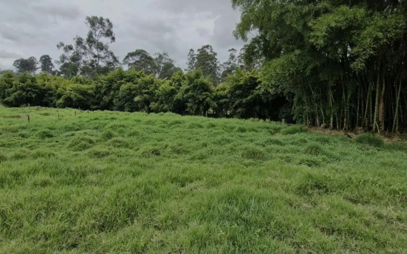 Lote Residencial en Rionegro en Corredor San Antonio - La Ceja (Rionegro)