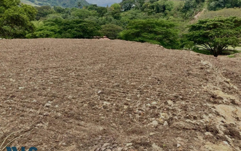 Lote Residencial en Bolombolo en C. Bolombolo