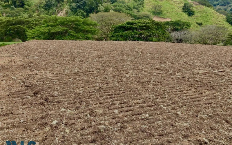 Lote Residencial en Bolombolo en C. Bolombolo