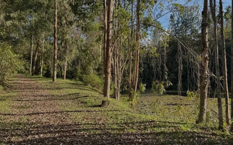 Lote Residencial en El Retiro en Pantanillo