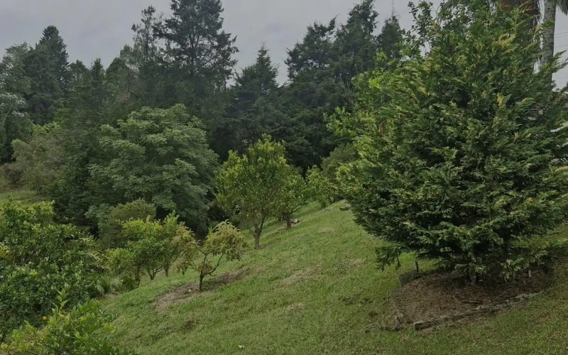 Finca Recreativa en Rionegro en V. Las Cuchillas