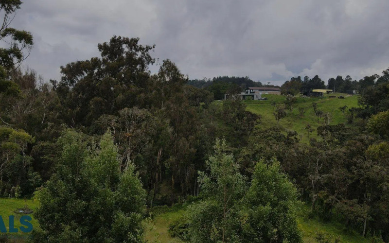 Lote Residencial en Envigado en Alto de las Palmas