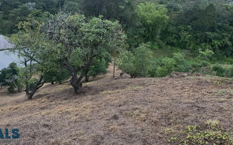 Lote Residencial en Marinilla en V. Chocho Mayo